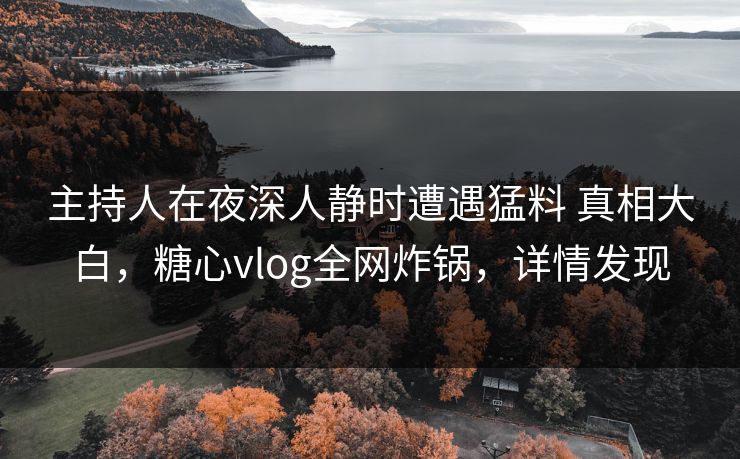 主持人在夜深人静时遭遇猛料 真相大白，糖心vlog全网炸锅，详情发现