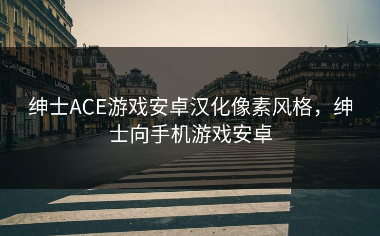 绅士ACE游戏安卓汉化像素风格，绅士向手机游戏安卓