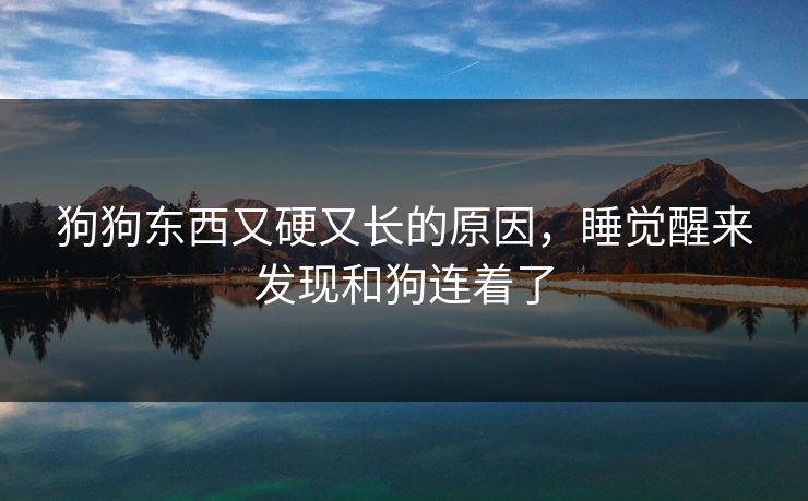 狗狗东西又硬又长的原因，睡觉醒来发现和狗连着了