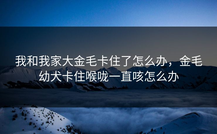 我和我家大金毛卡住了怎么办，金毛幼犬卡住喉咙一直咳怎么办